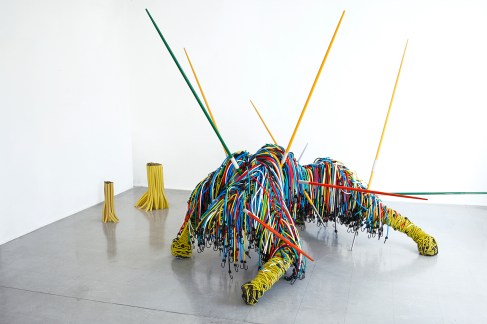 3.Perbos_Laurent-calydonB