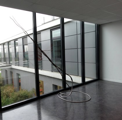 Franz-Stahlerdroites