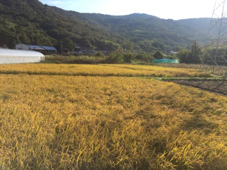 1FFE071E-0145-4B55-B55B-8F2F745C2AE9