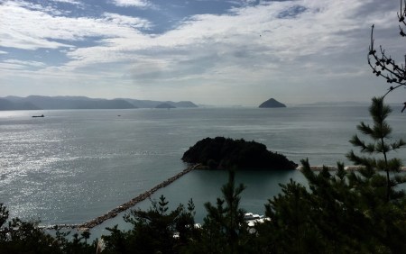 5A4110D7-05E0-4108-9B96-0CFD4ABFB958