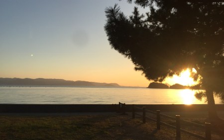 8A81F67B-55E6-428F-858A-C7FB0D2A25BE