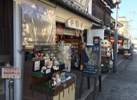 9190E619-8021-4B8B-85B2-569E4BA772EA