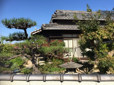 B1B9DF4B-583C-4D0A-9424-25F5773DE267