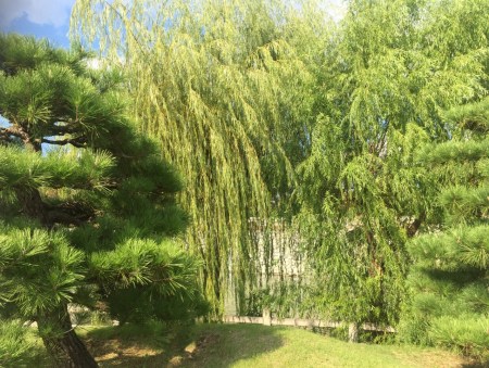 CBE0059D-264F-41F2-8989-2A30ACFA9CA8