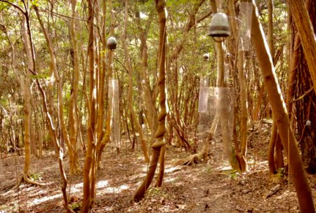 E8F8CCDB-B5CC-4924-9D33-4C31E446F940