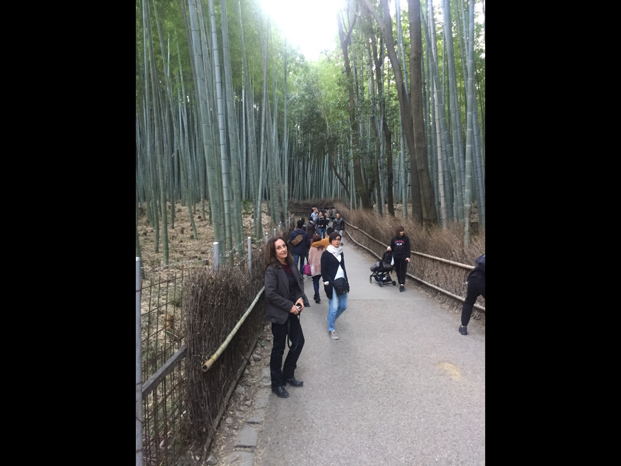 388F8232-9AC8-40C1-8F82-7AE0C9C7C50D