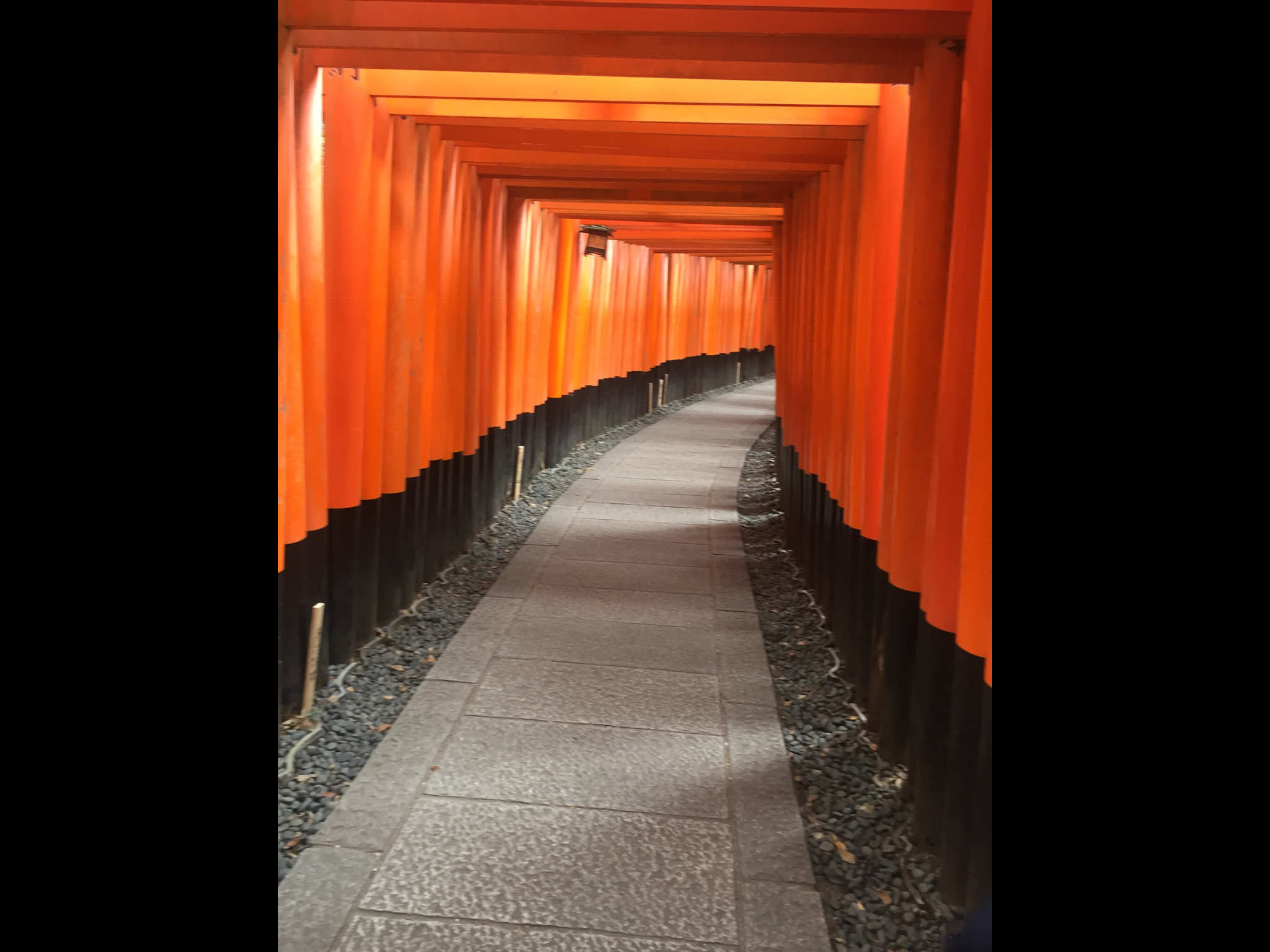 42F2A1B9-7778-4863-AB7B-61ABDFAFF858