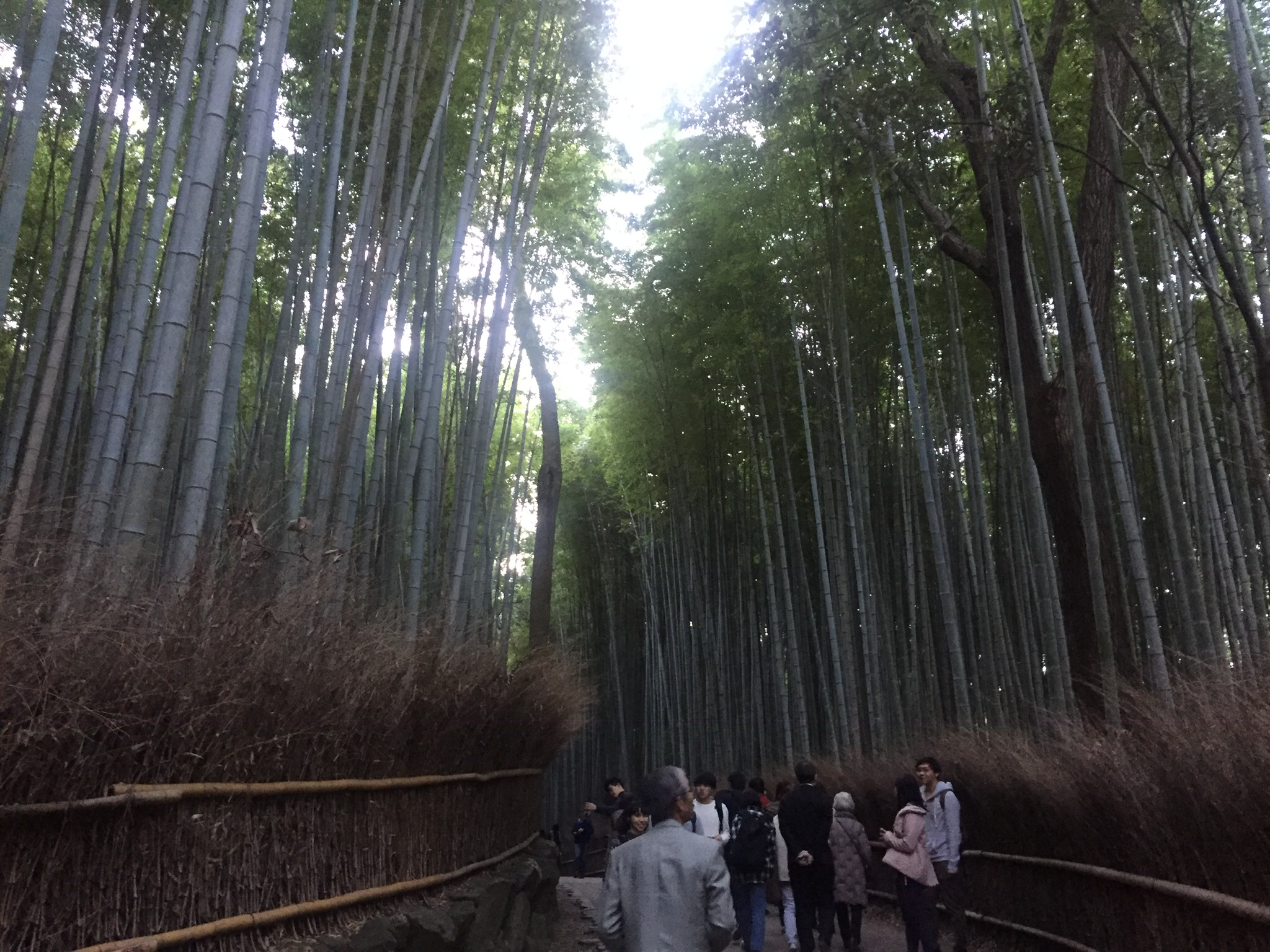 7BFF7E9A-1136-4025-8E8E-F0C60E9A92B6