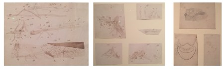 1bec7258-bef0-44fa-8b1f-ce85cad1edb0