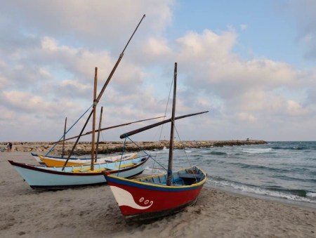 4EBF202D-E219-42A8-B596-1569C6841A50