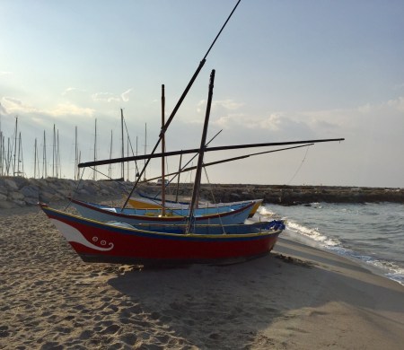 D20A9ED2-4761-411B-8F79-7FE96EA7E039