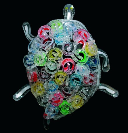 Ma Tortue Cristina Marquès HD