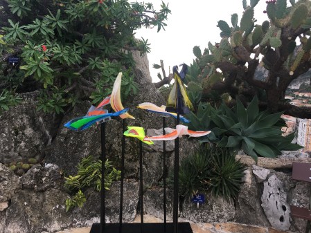 Mes Oiseaux de Paradis